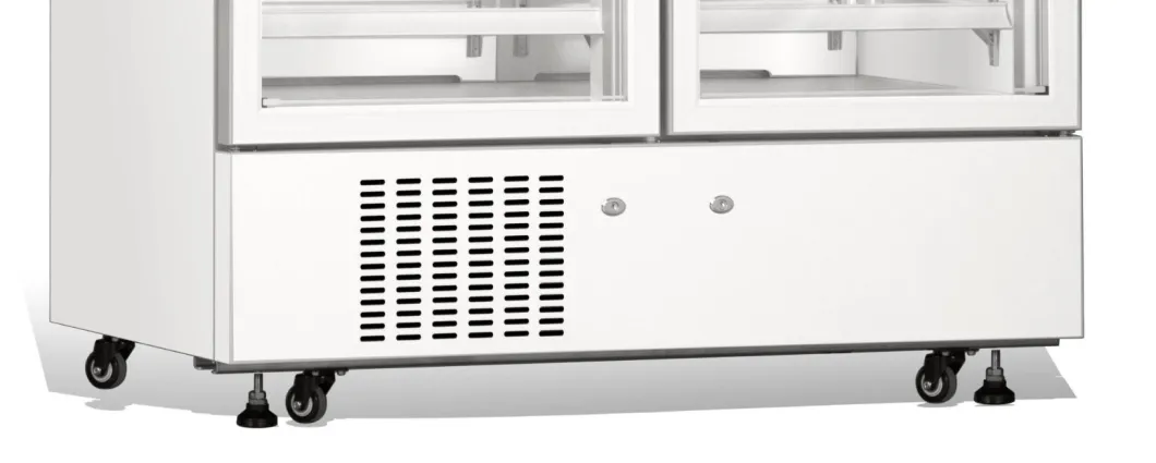Сторона большой емкости 1006L - - холодильник бортовой вертикальной фармации стойки медицинской вакционный 2-8 градусов